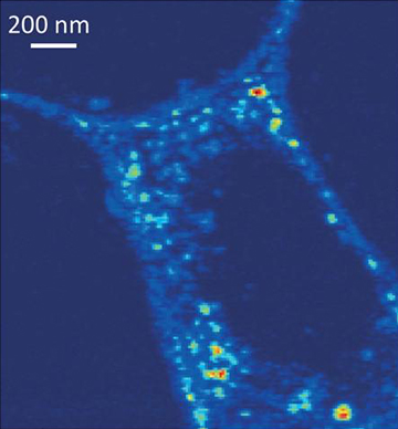 Environmental chemistry and toxicology of nanomaterials